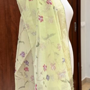 Organza dopatta
